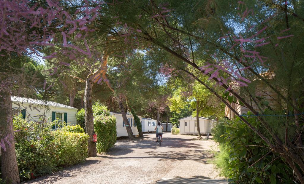 Camping Le Suroit لو بوا بلاج أو ر المظهر الخارجي الصورة